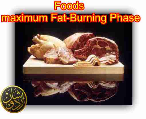 fat burning| health issues| best food planner